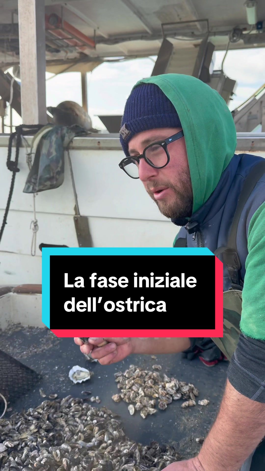 @Mitili&Mitili