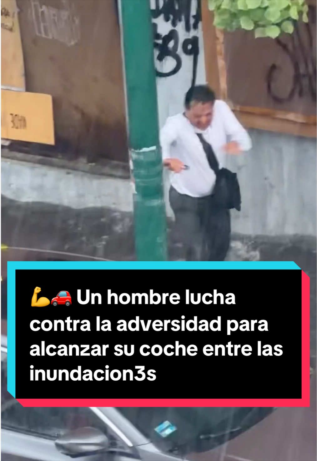@EL ESPA&Ntilde;OL 🦁