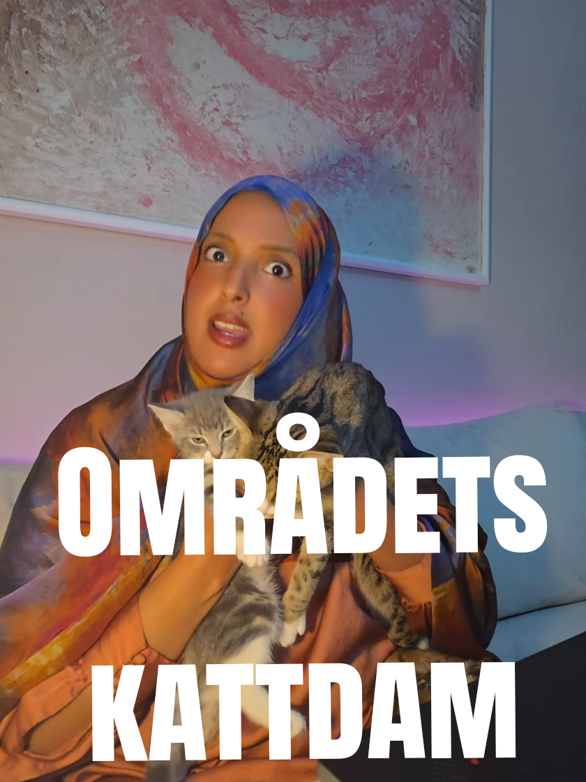@Hiba IRL 🇸🇪