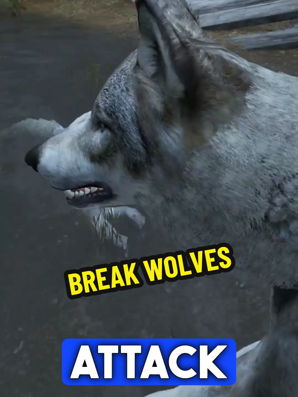 @Always Streams