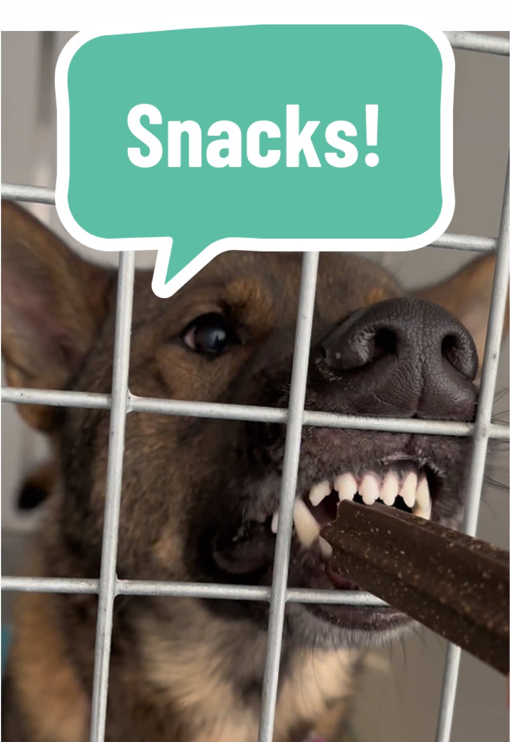 @RSPCA brighton