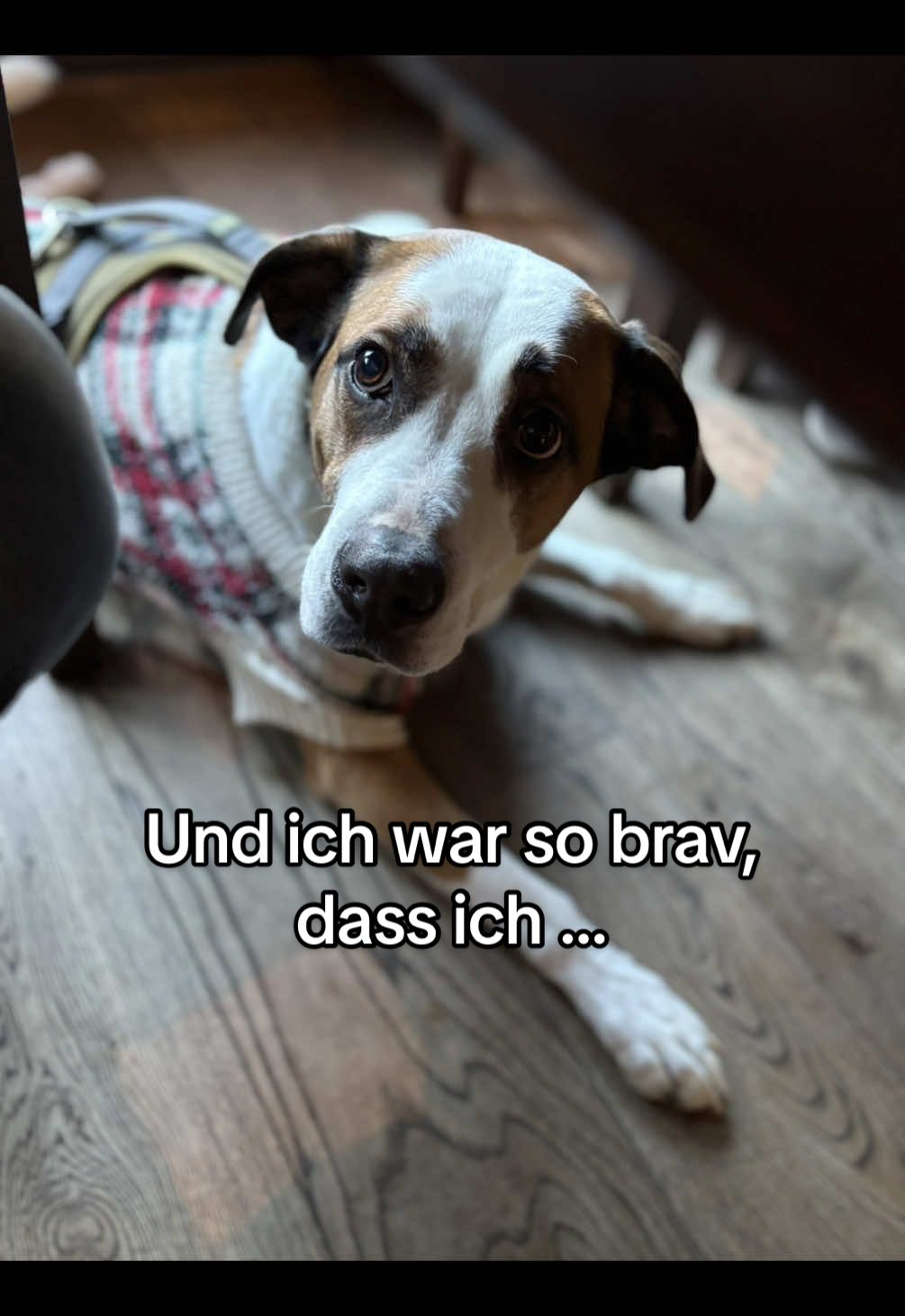 @Herr Dexti