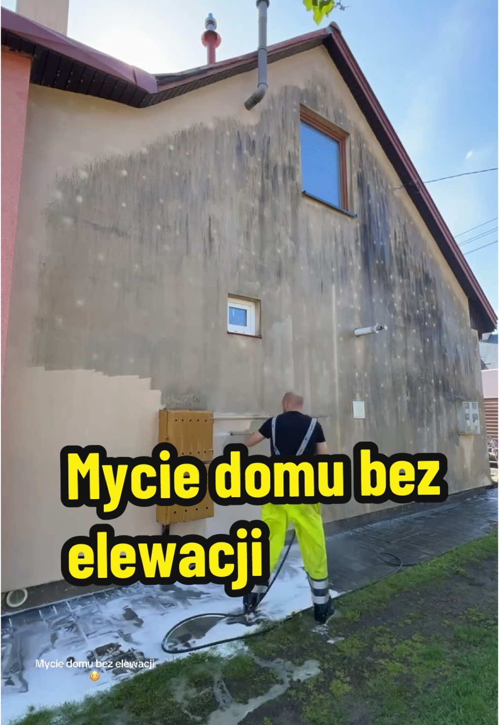 @wilkdomymyje