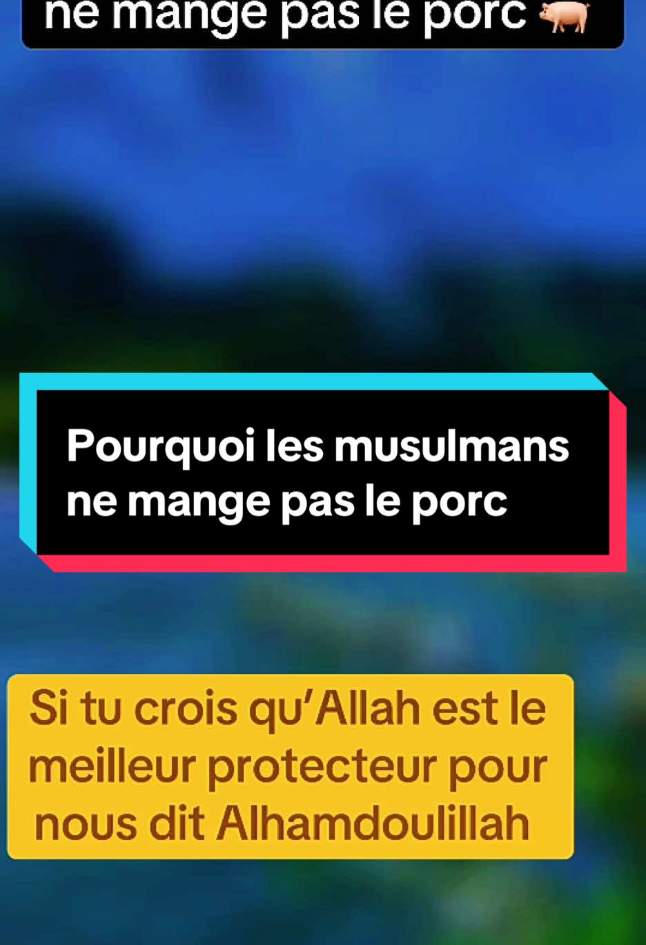 @Islam 📿🤲🙏❤️