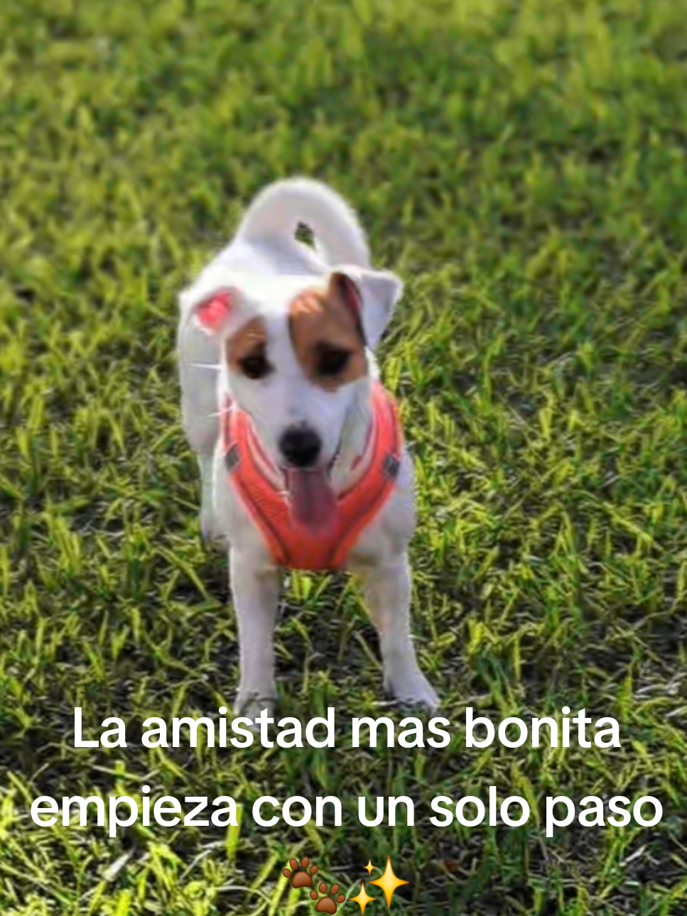 @Mía