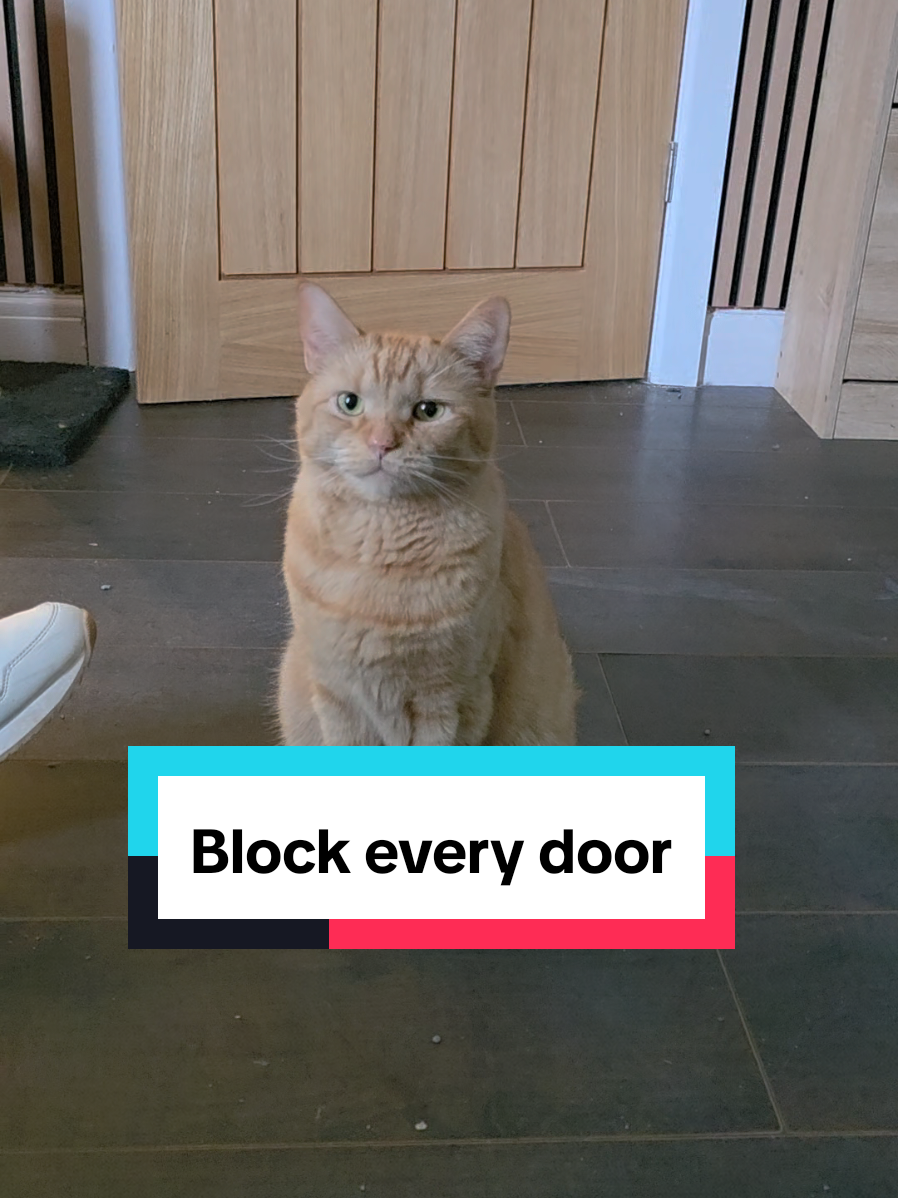 @Paws and Claws