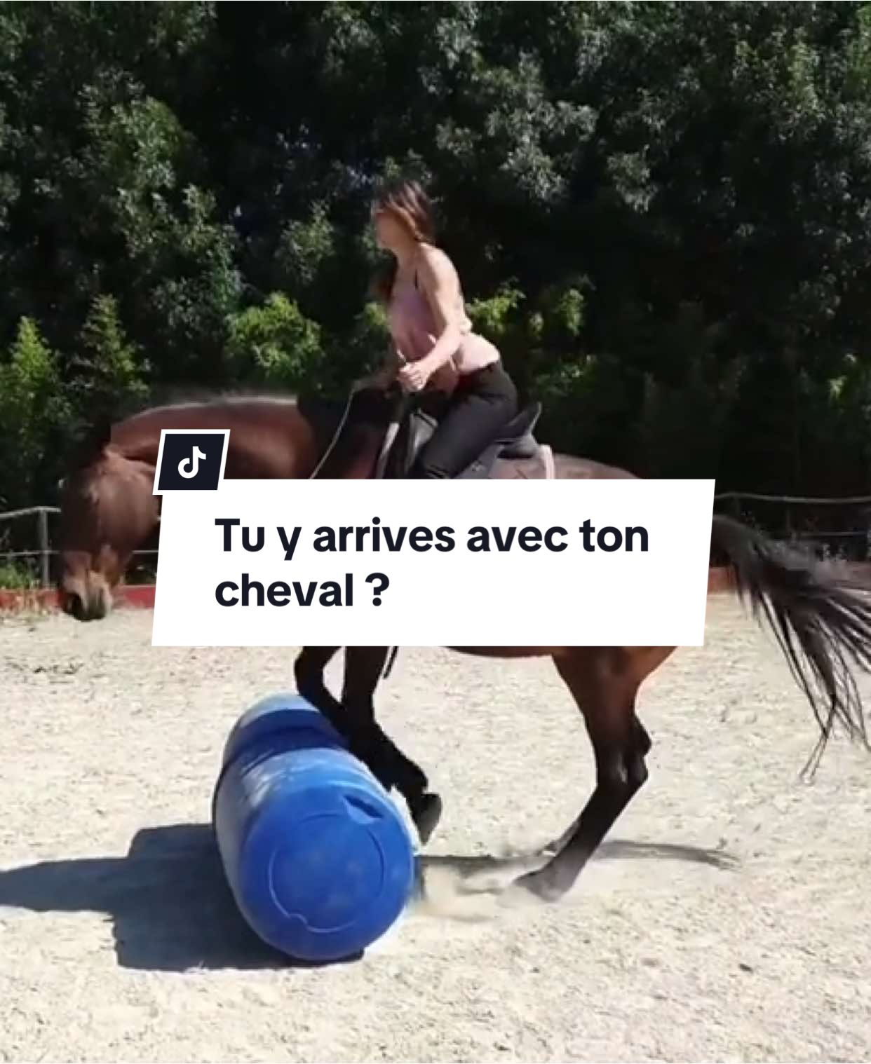 @Horsewoman Trip
