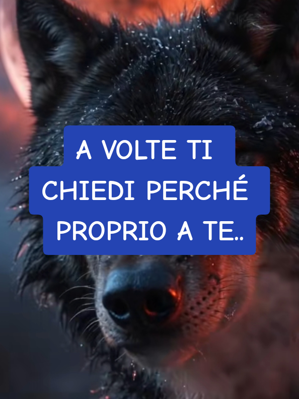 @ALESSANDRO_IL_ROMANO