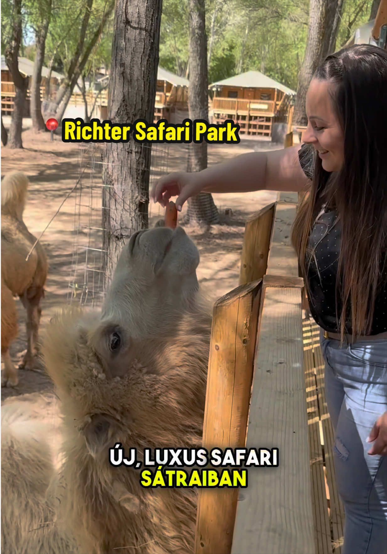 @Juh&aacute;sz Vivien