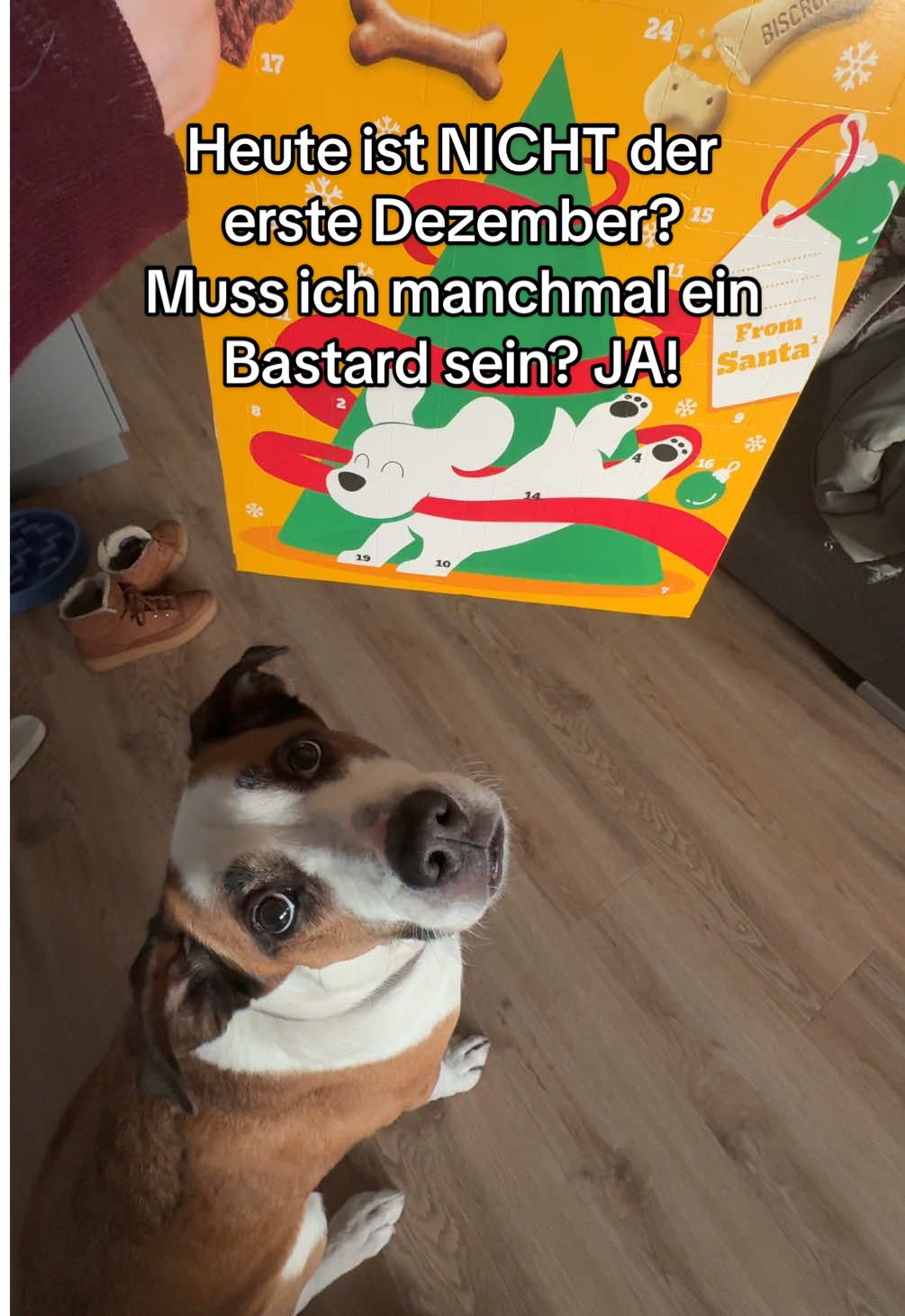 @Herr Dexti