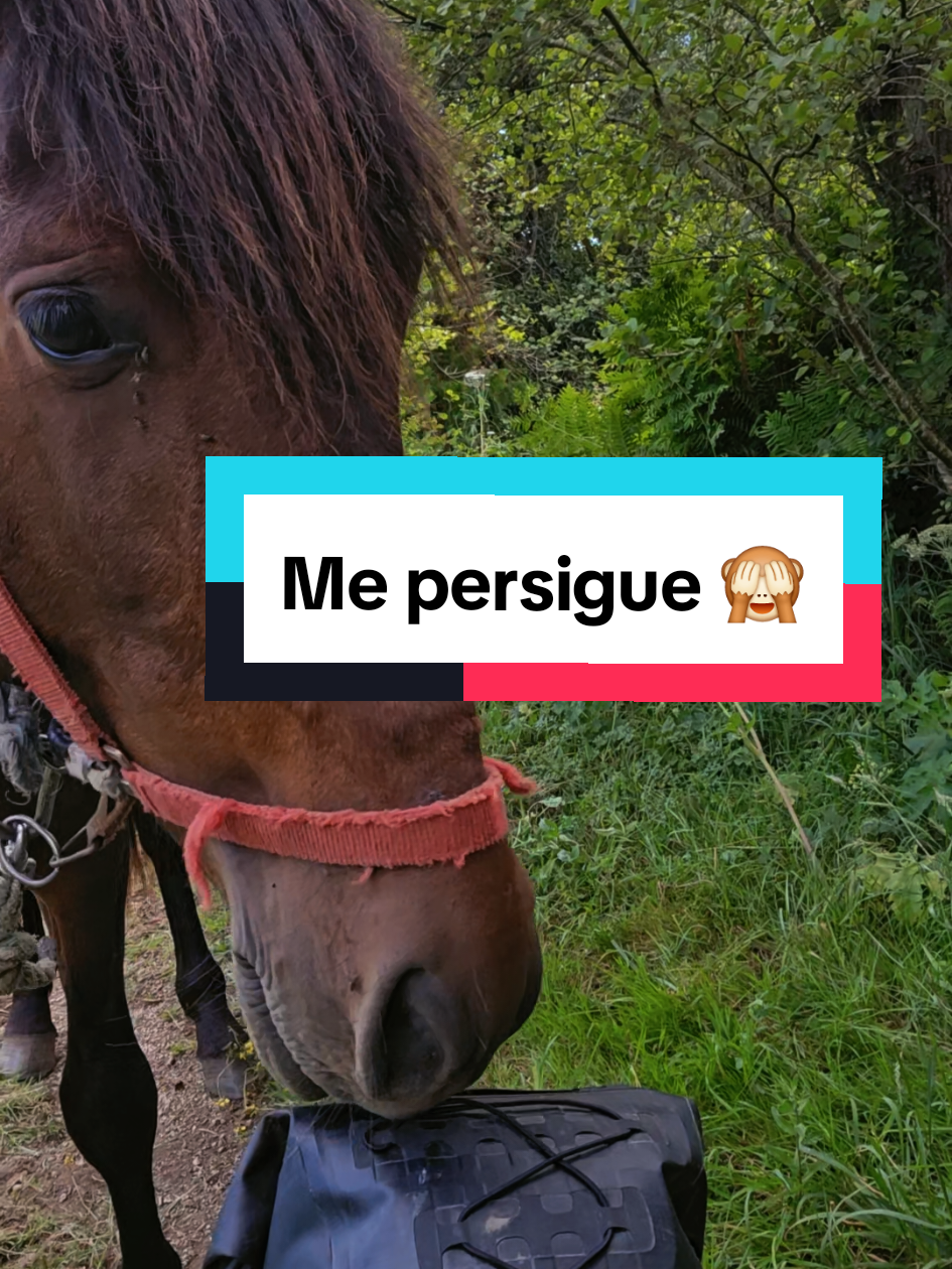 @Ele
