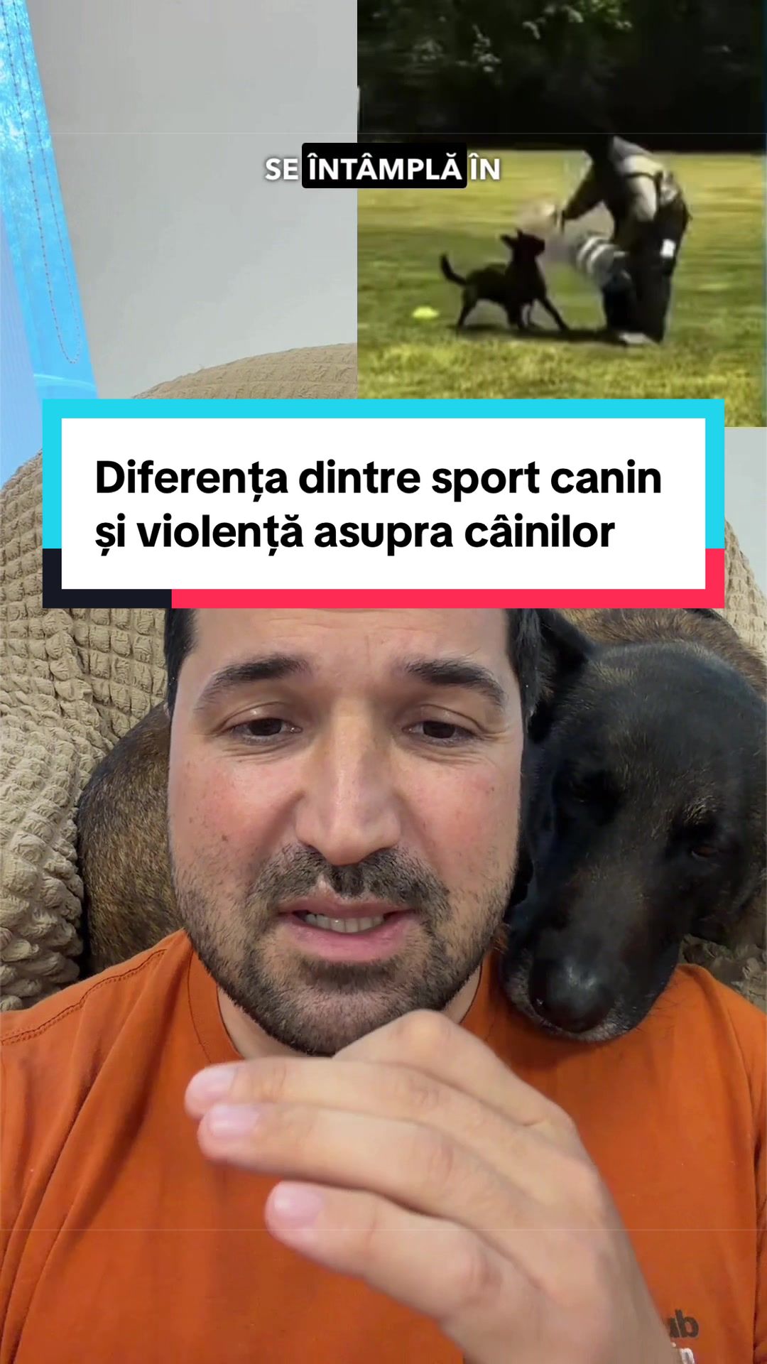 @Tudor-Tim Ionescu