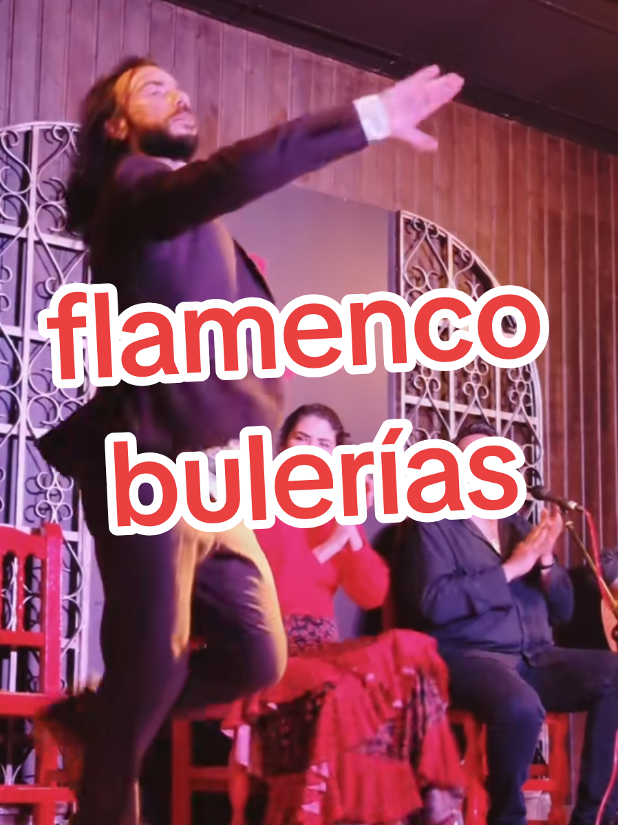 @Mario de los Santos Flamenco