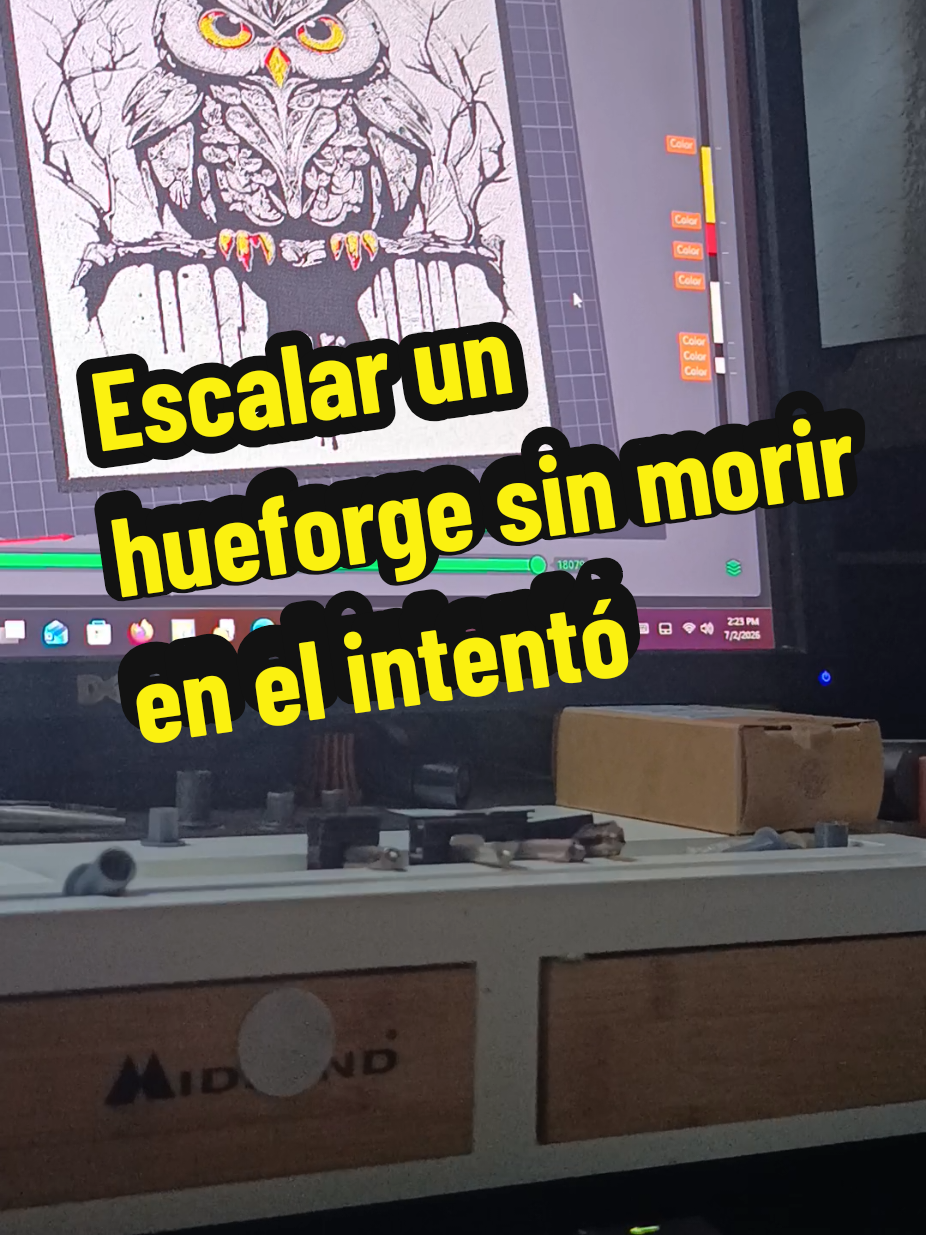 @FYTY