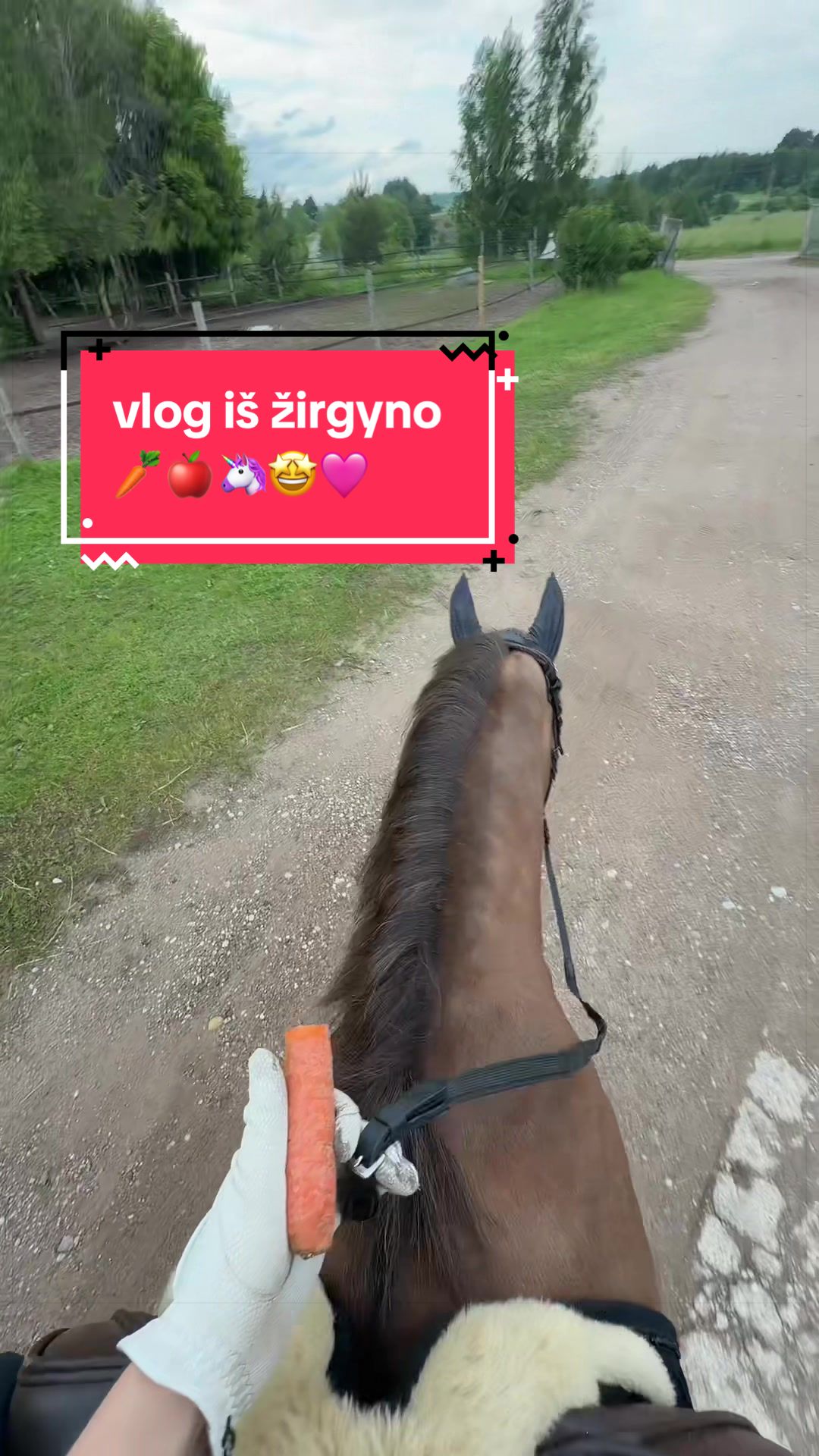 @lugneliu