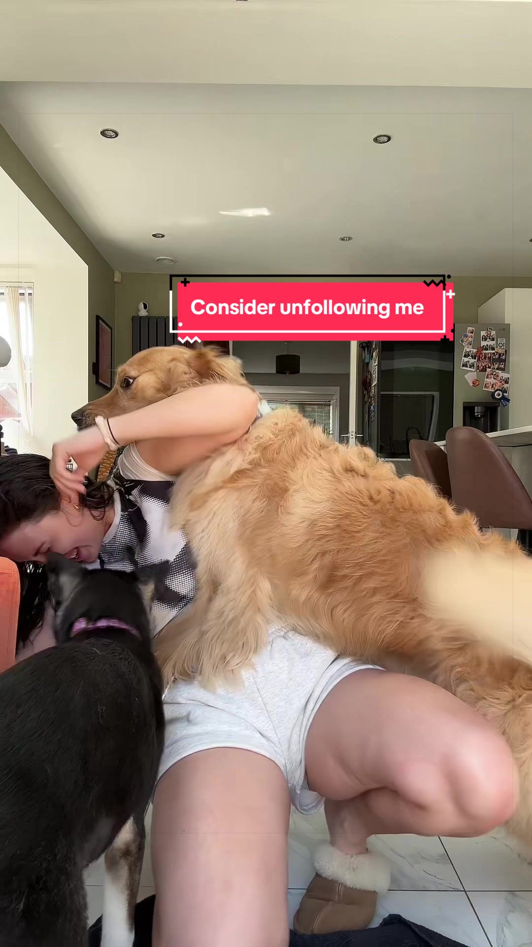 @Sheldon The Retriever