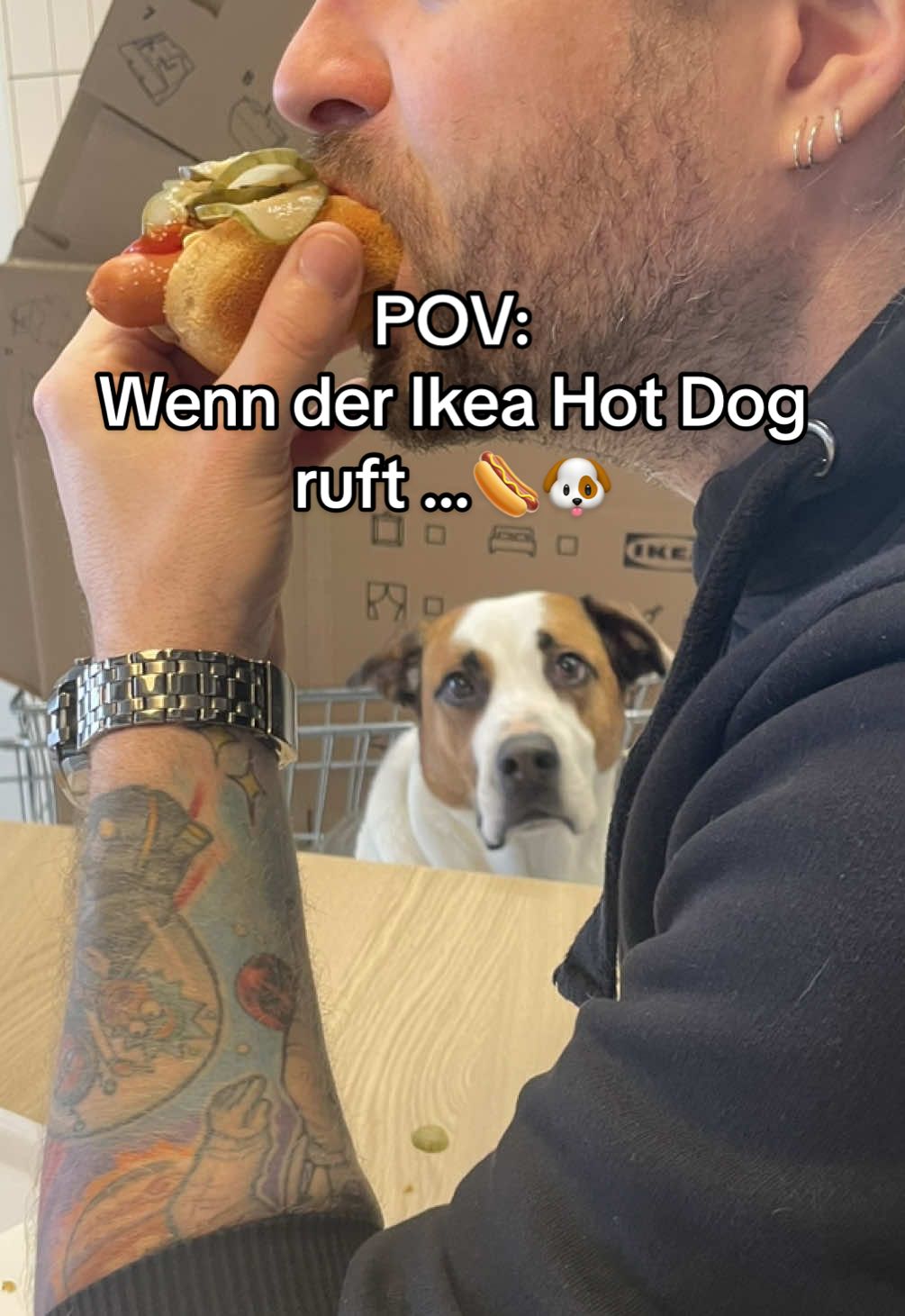 @Herr Dexti