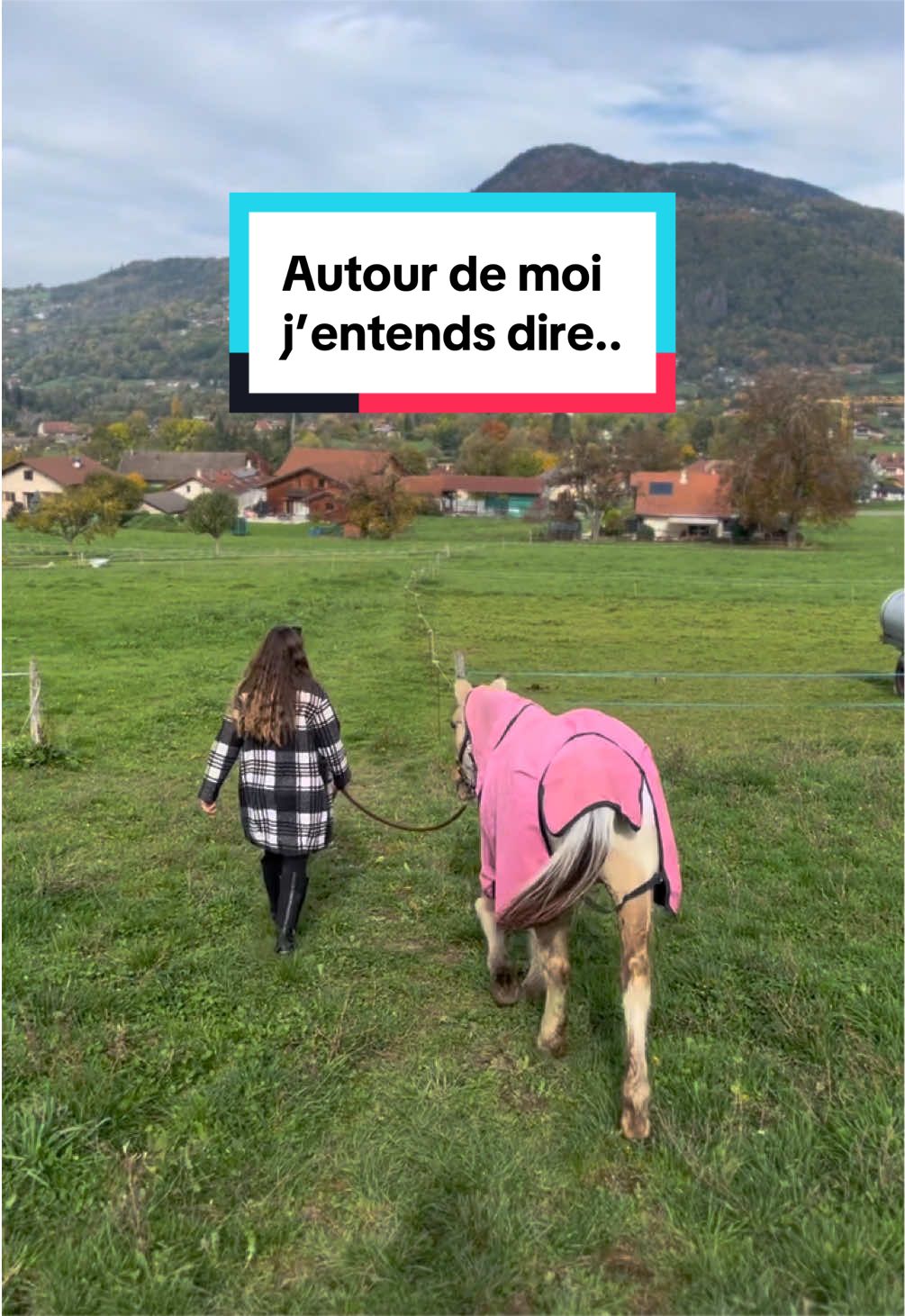 @mon poney pie