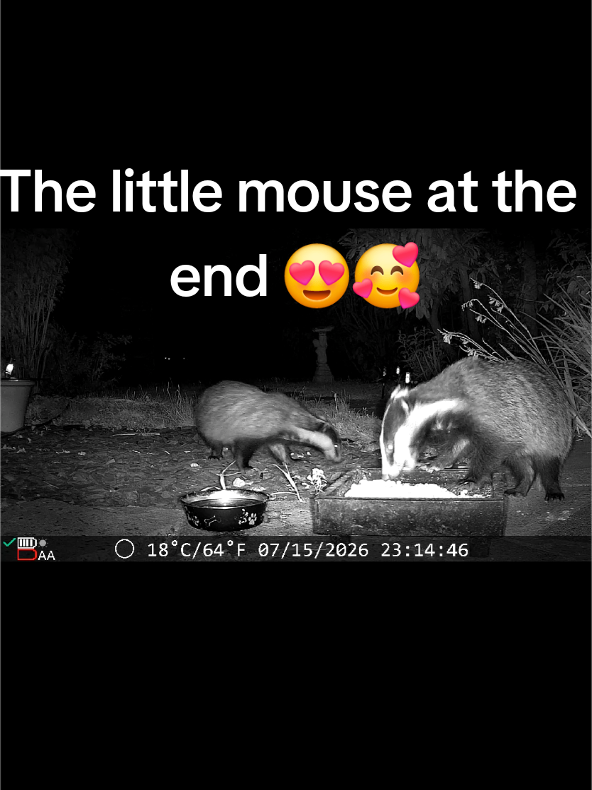 @Kent Garden Wildlife UK
