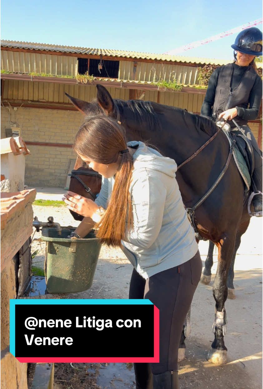 @Lapi Nicol Hr 🇮🇹