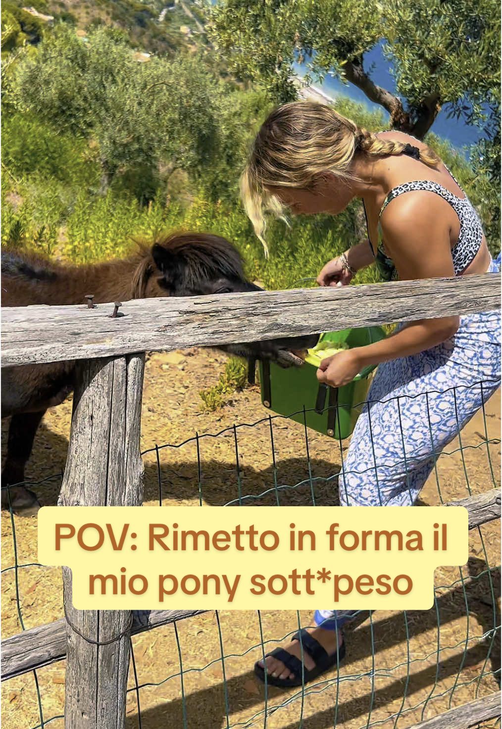 @Giorgia Bevilacqua