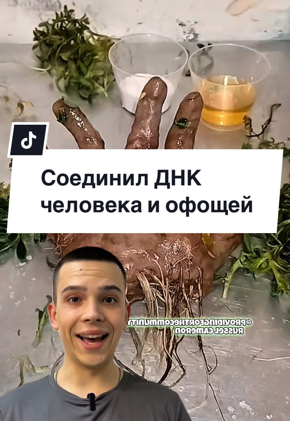 @VOROBYEV
