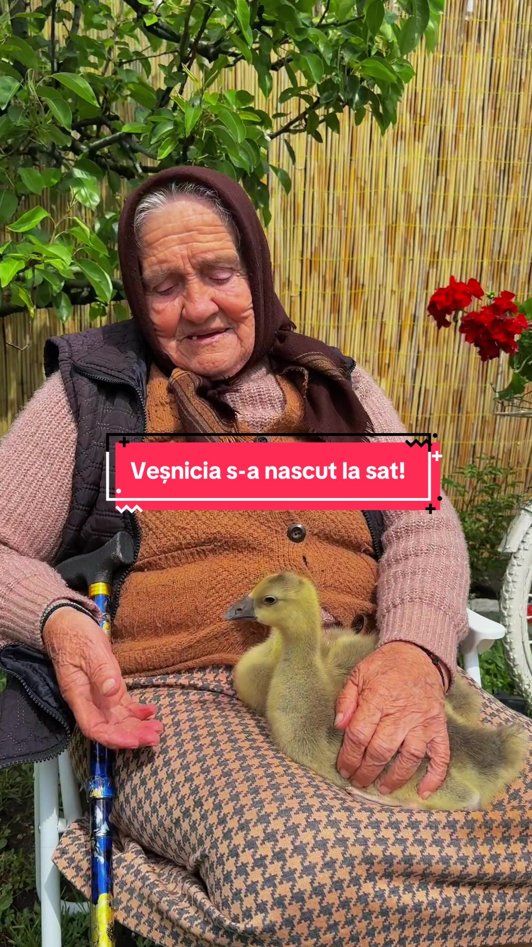 @deni&buni👩🏻🦰👵🏻