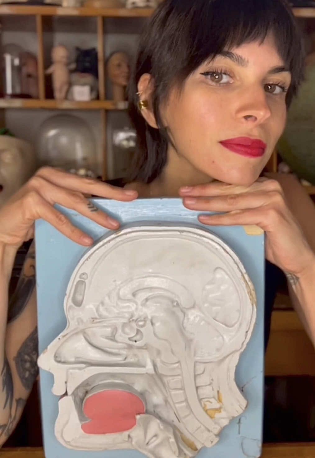 @DollsDoctor