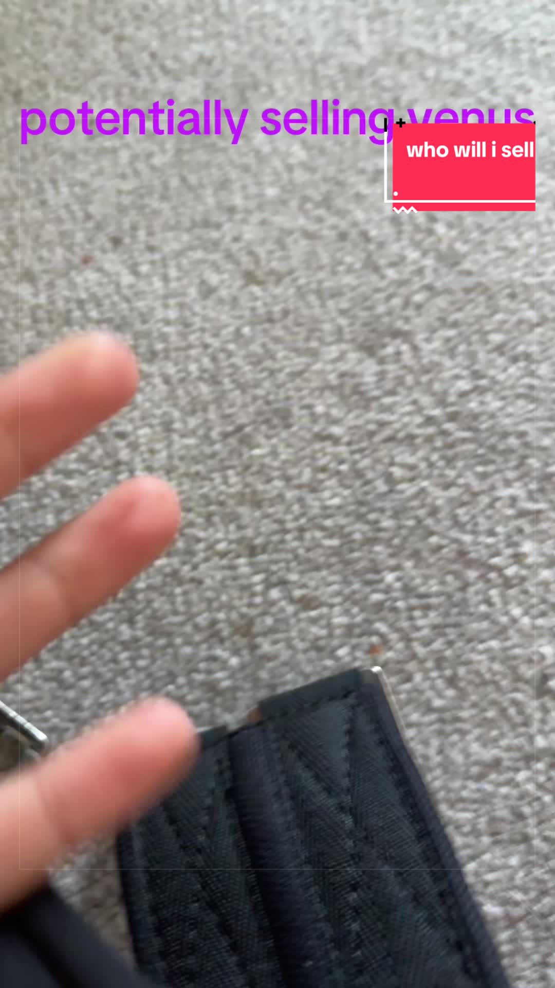 @that horse