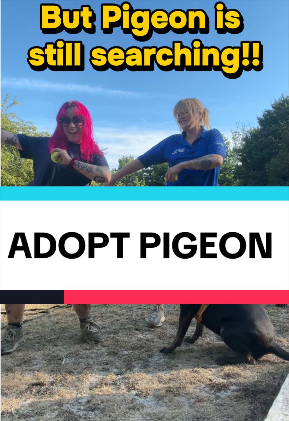@RSPCA brighton