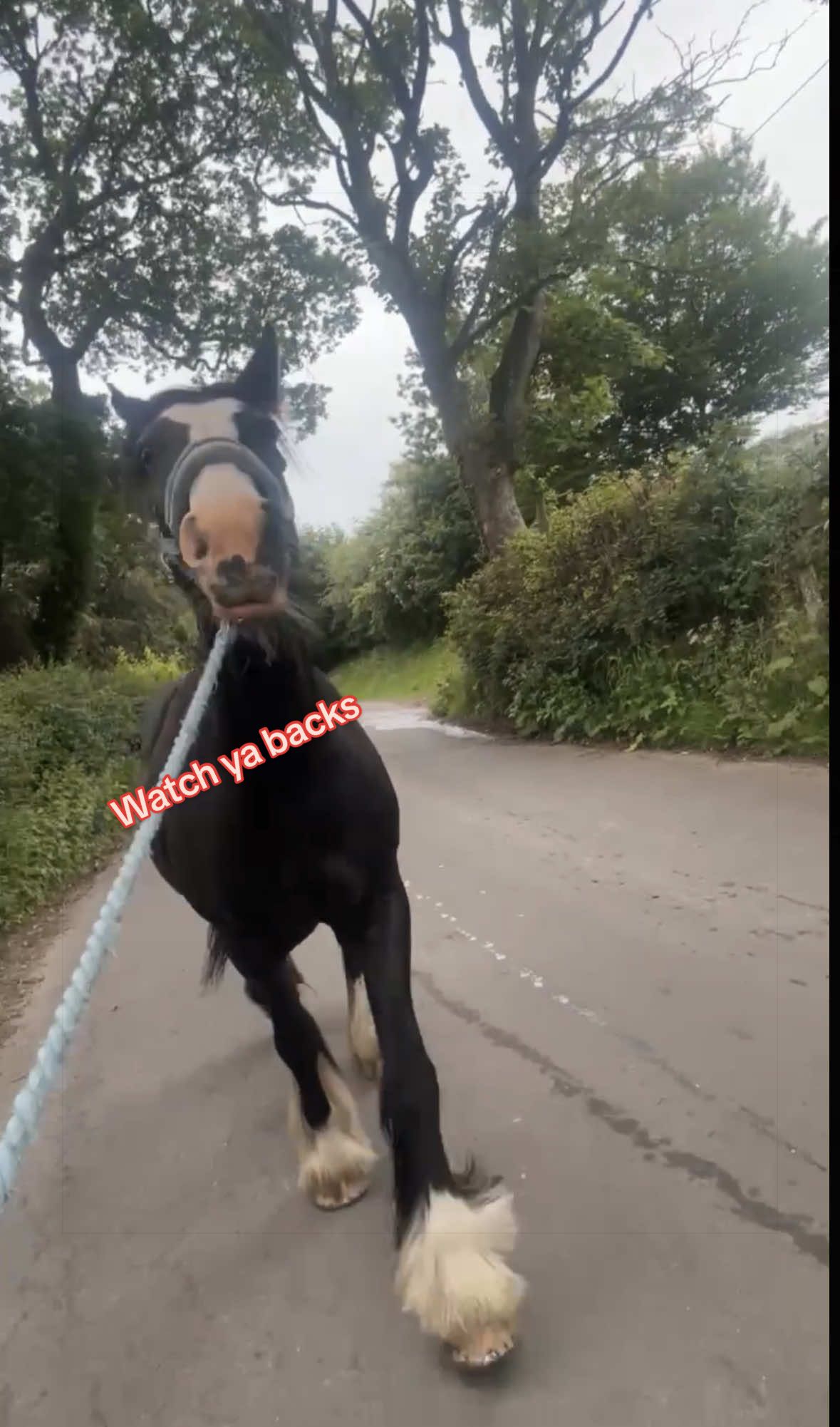 @âïžđđ đđȘđđ¶đČđ·đźđ đâïž