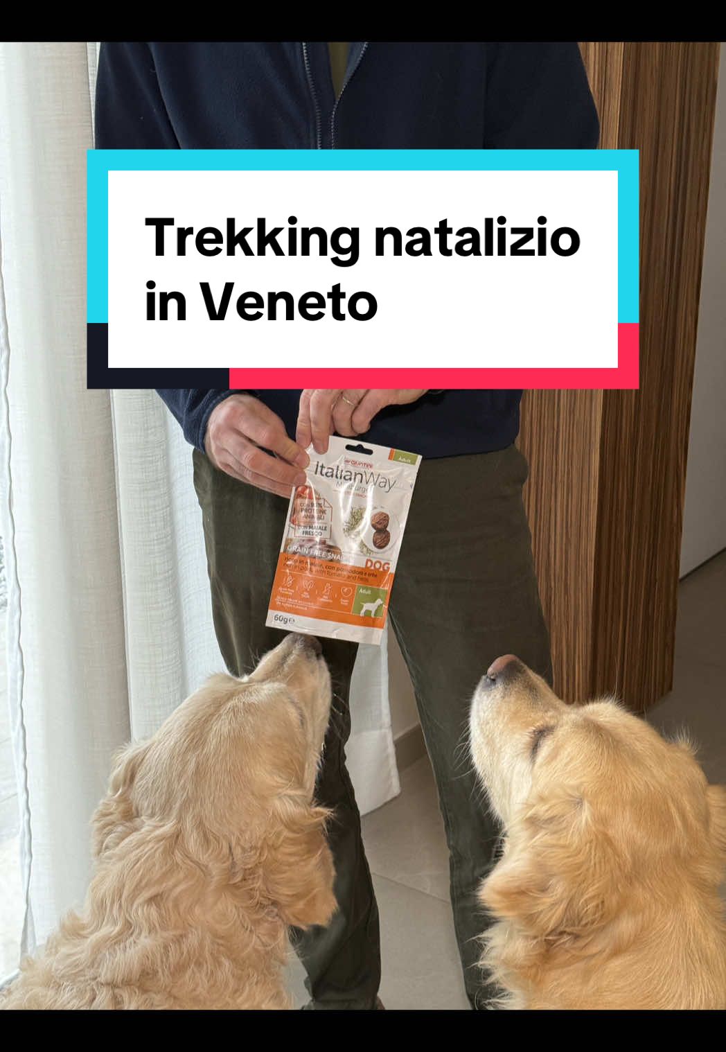 @travellingoldenfamily