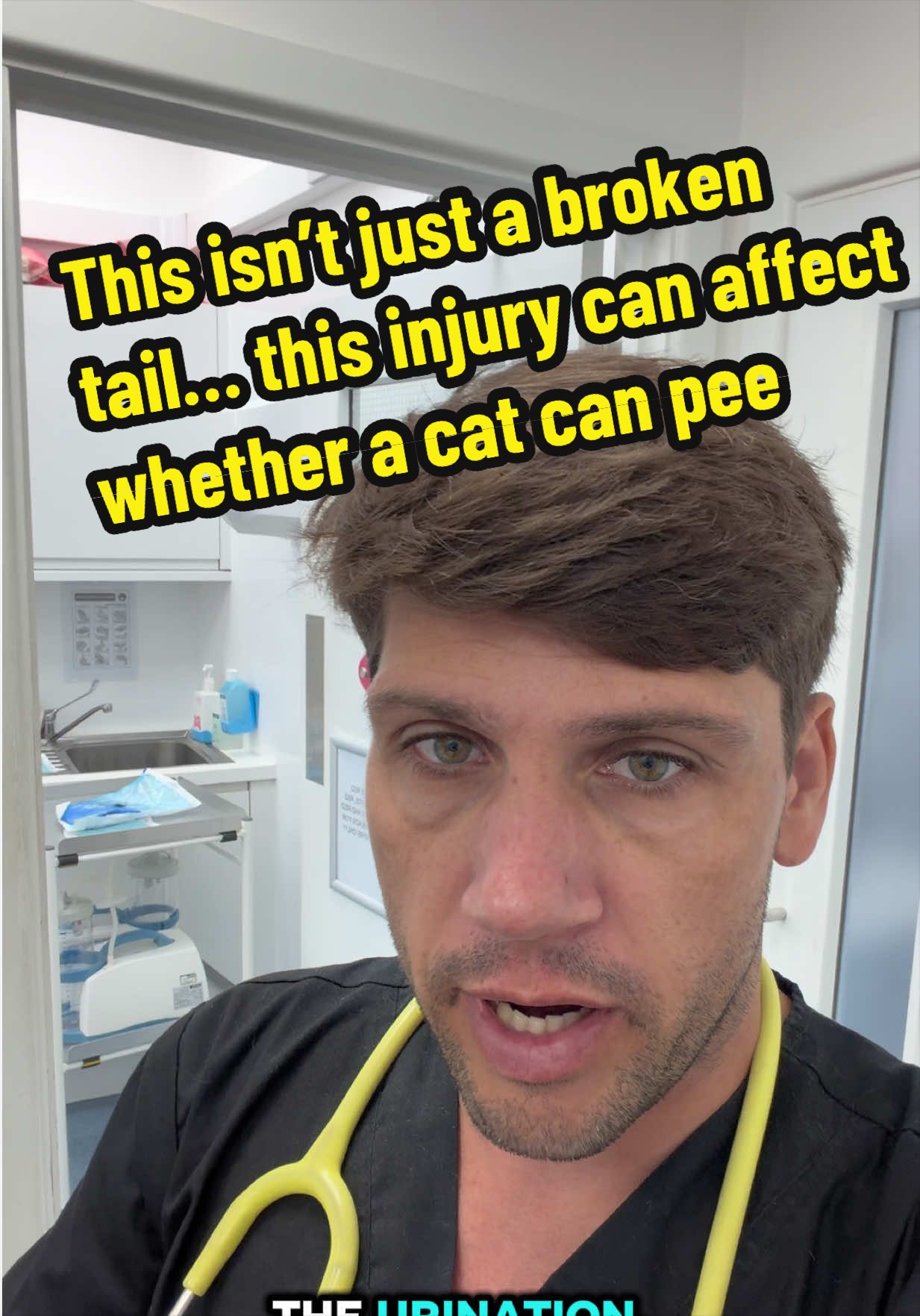 @Tomasthevet