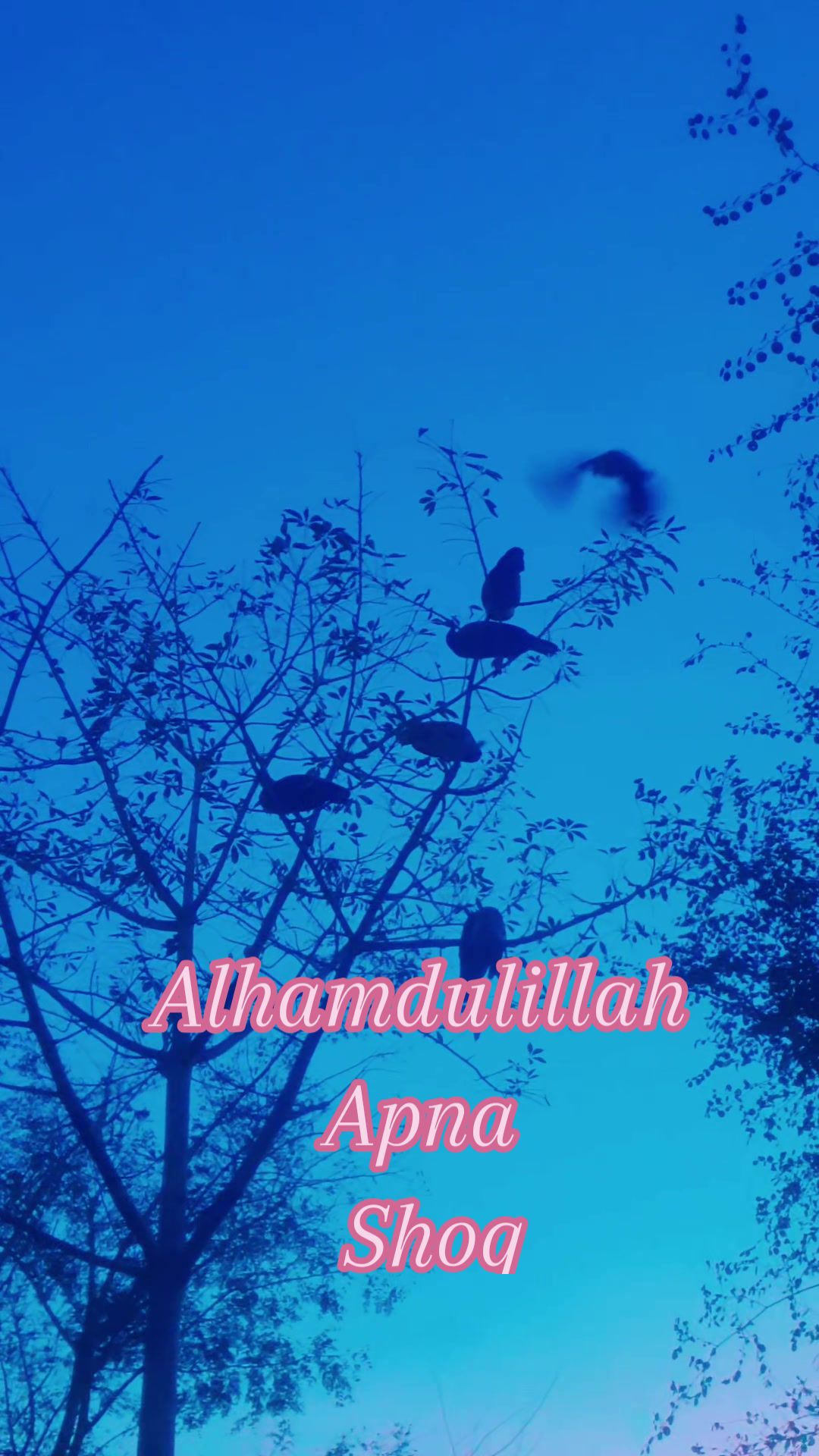 @☆*☆ Mahar Sana Ullah Jara ☆*☆