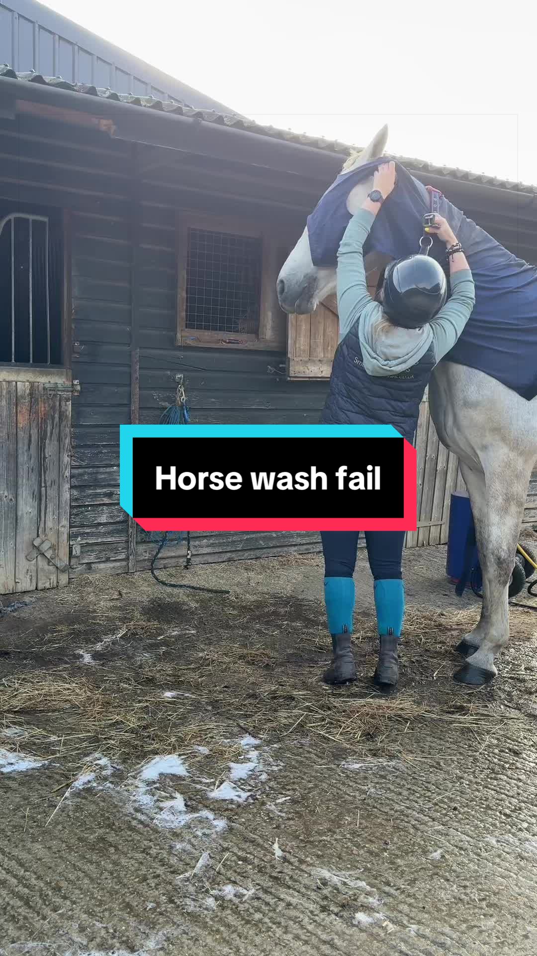 @Bex Foster 🐴