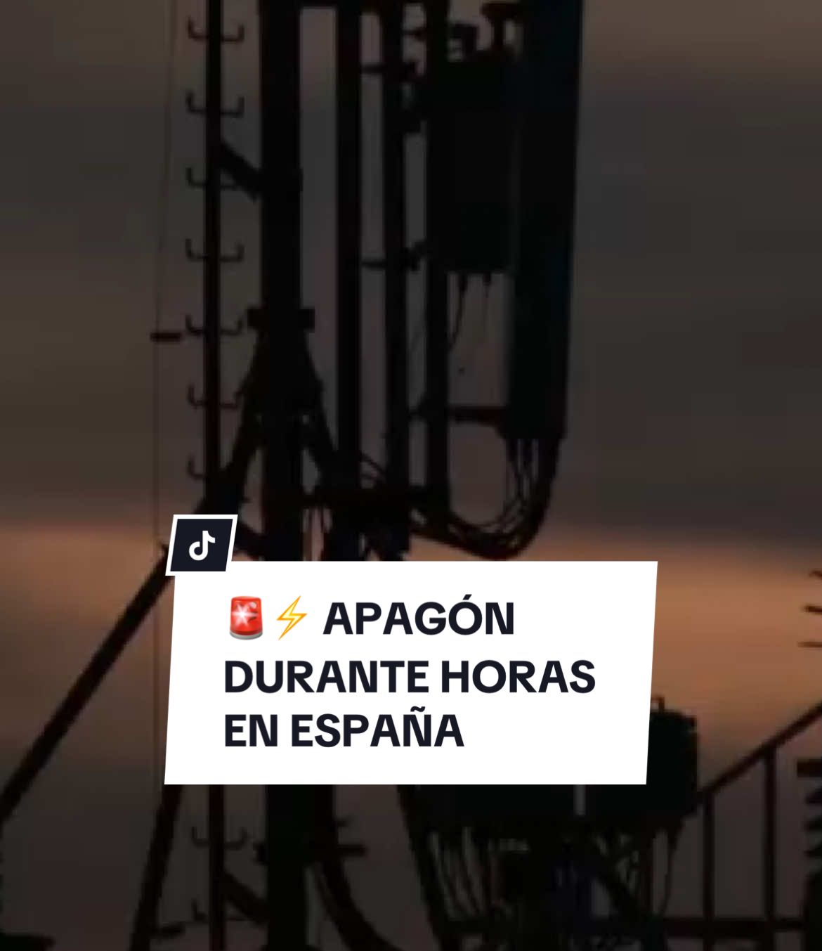 @Sofía