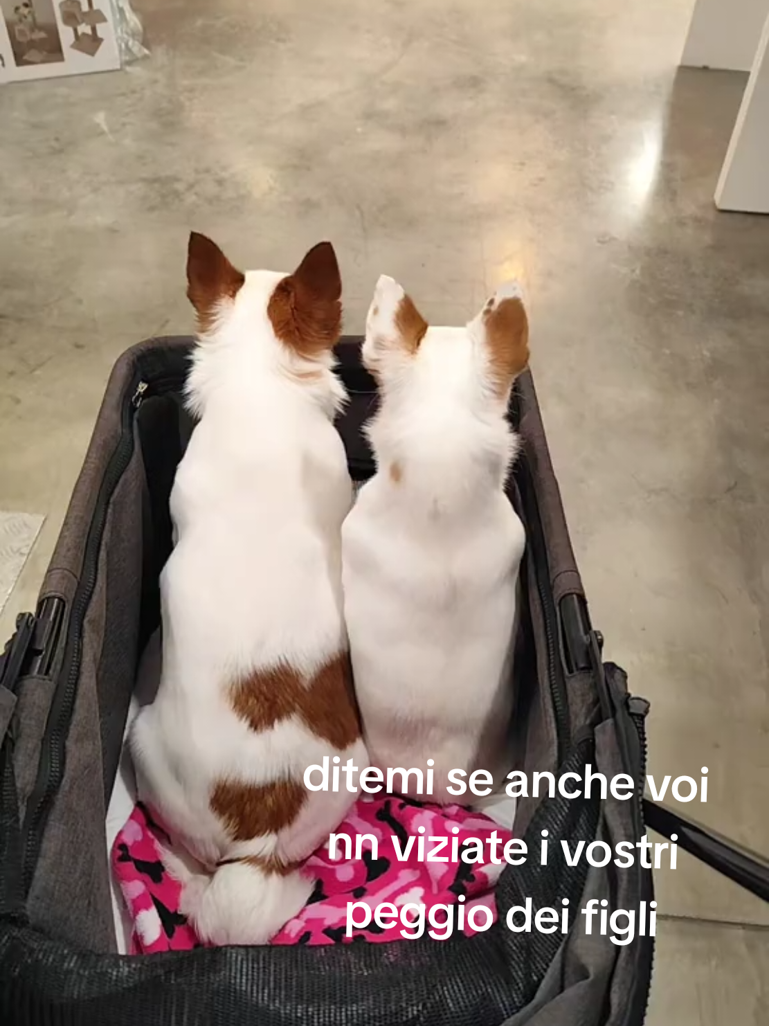 @antomar