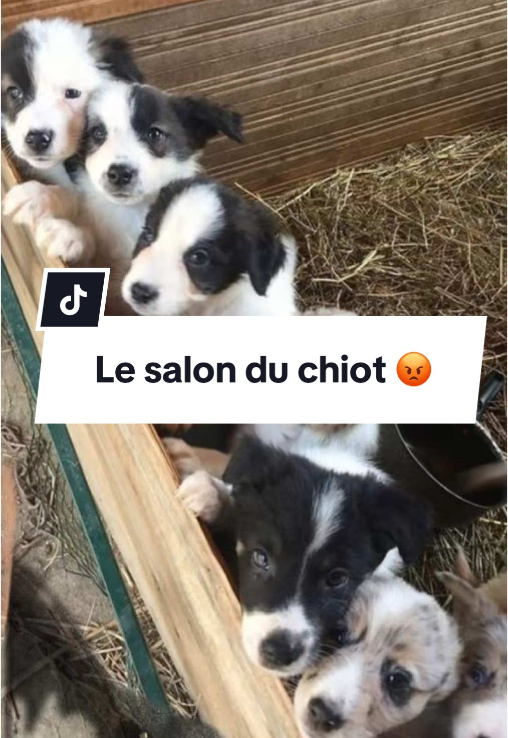 @urgence.annonce