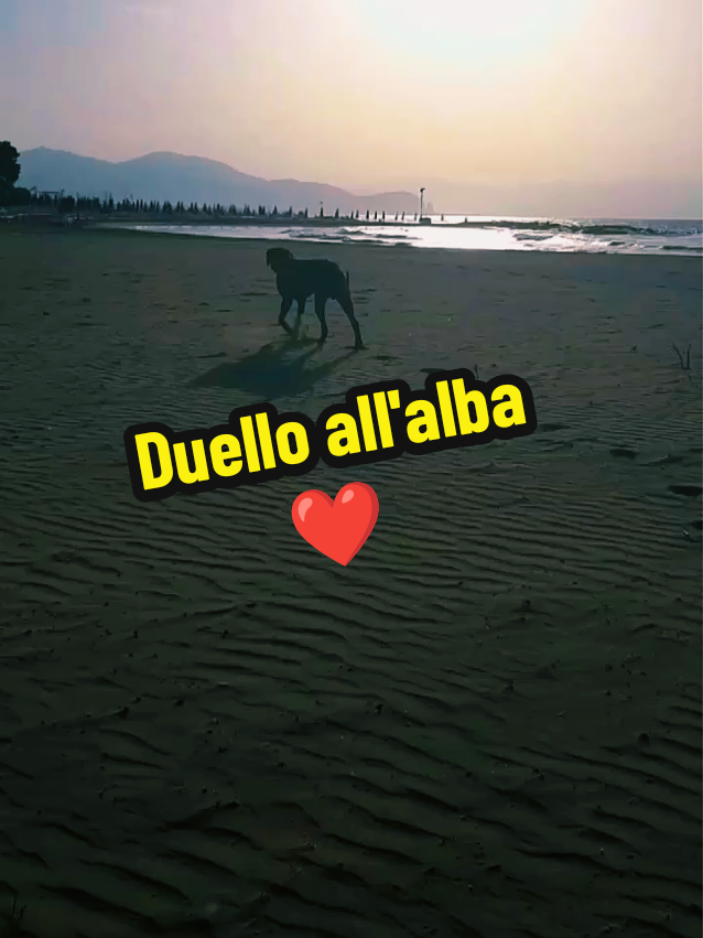 @Giotto gioielli 🐾❤️💍