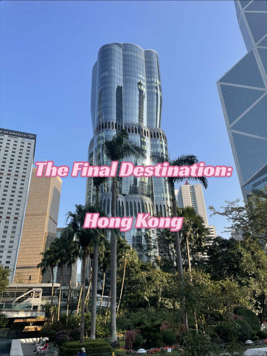 @theguthealthvoyager