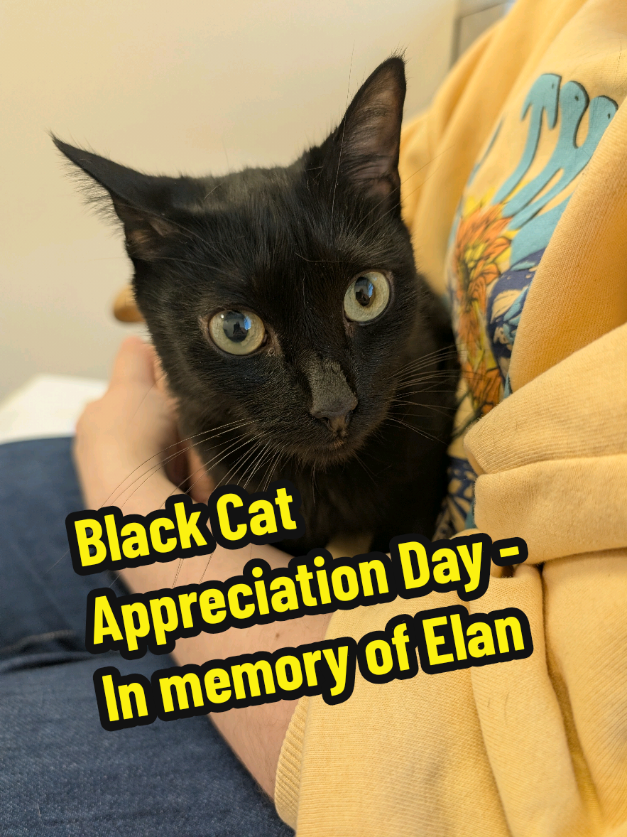 @Karen Smy