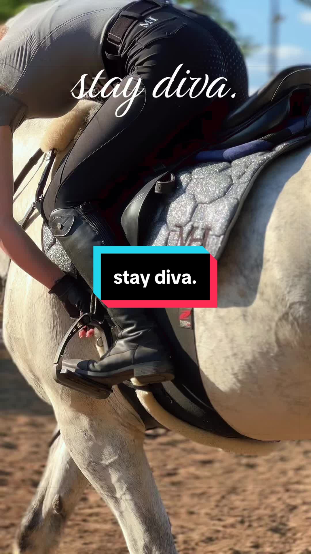 @✨Material Horses✨