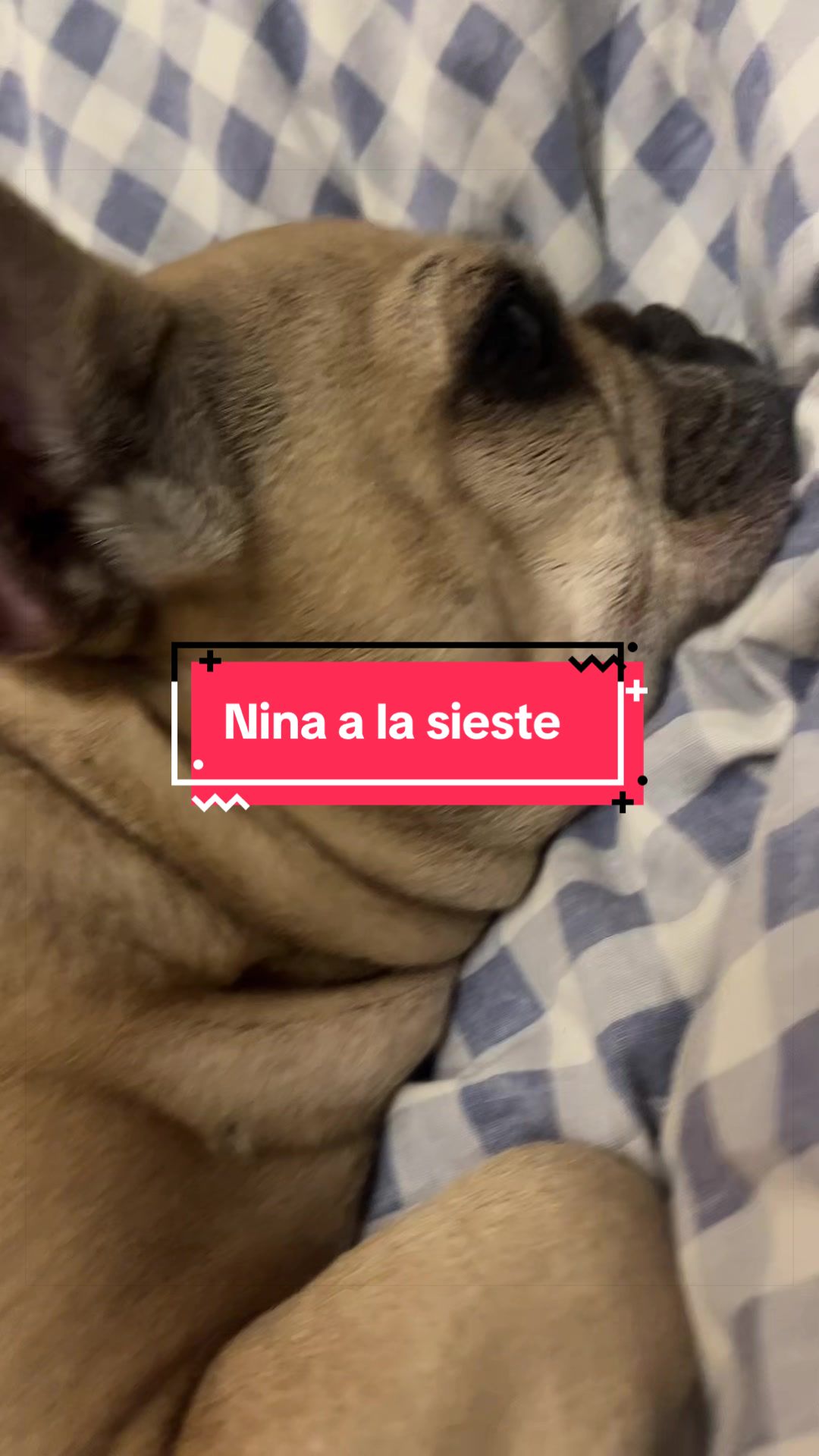 @les aventures de Nina