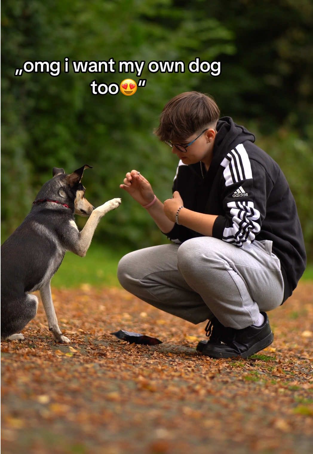@🐾