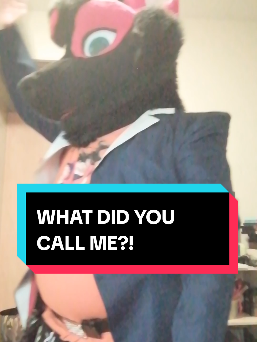 @Hikaji The Husky