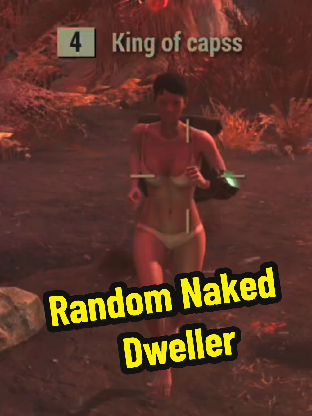 @The Modded Vault Dweller