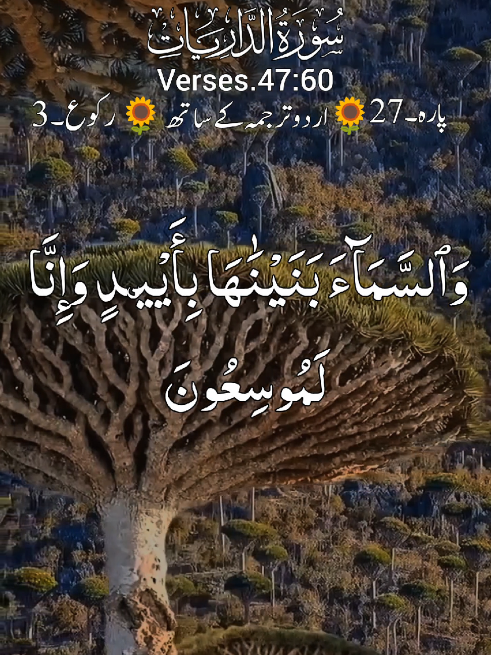 @HOLY QURAN