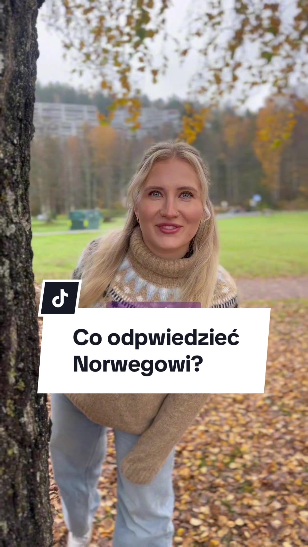 @Język norweski dla wszystkich