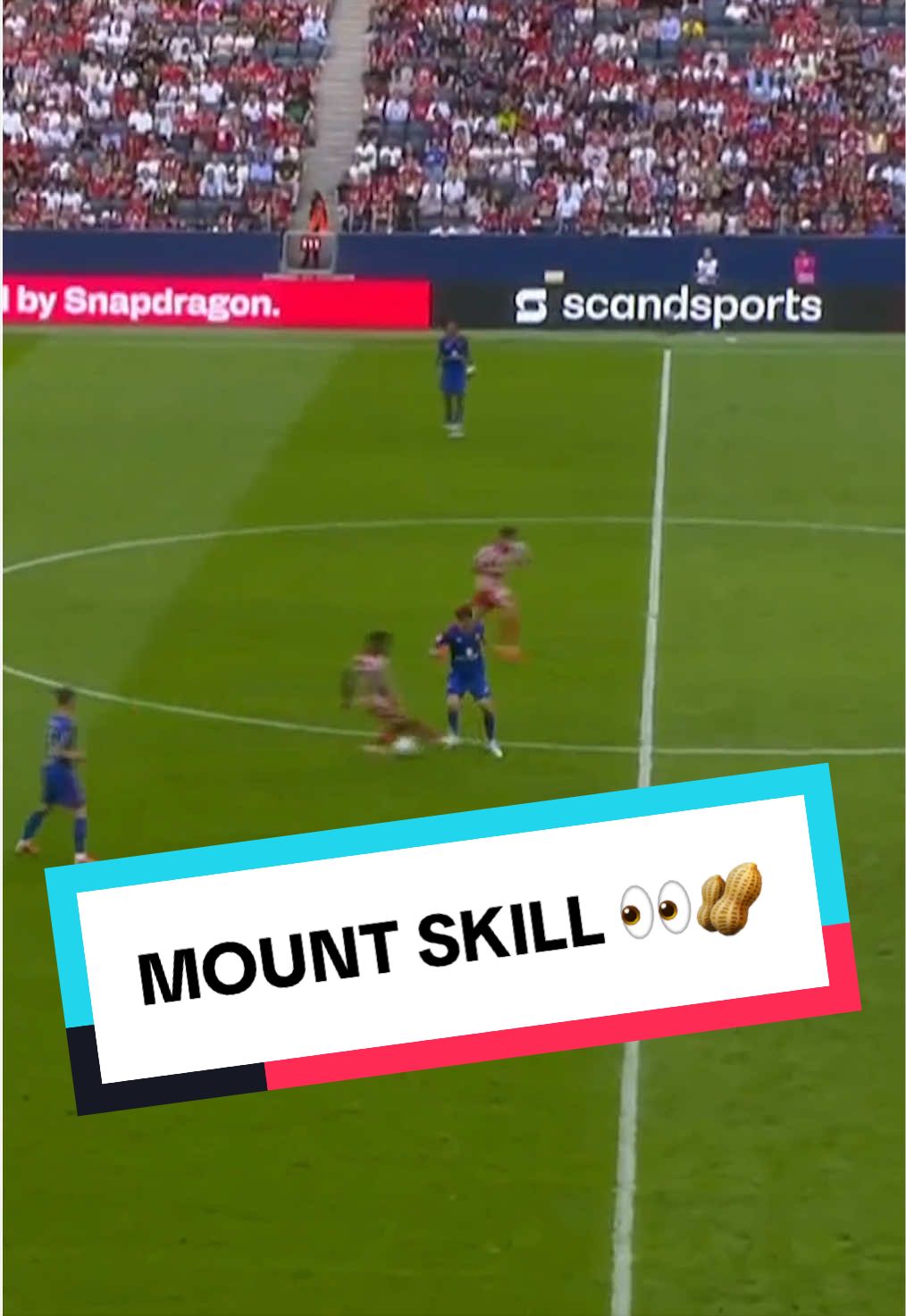@Manchester United