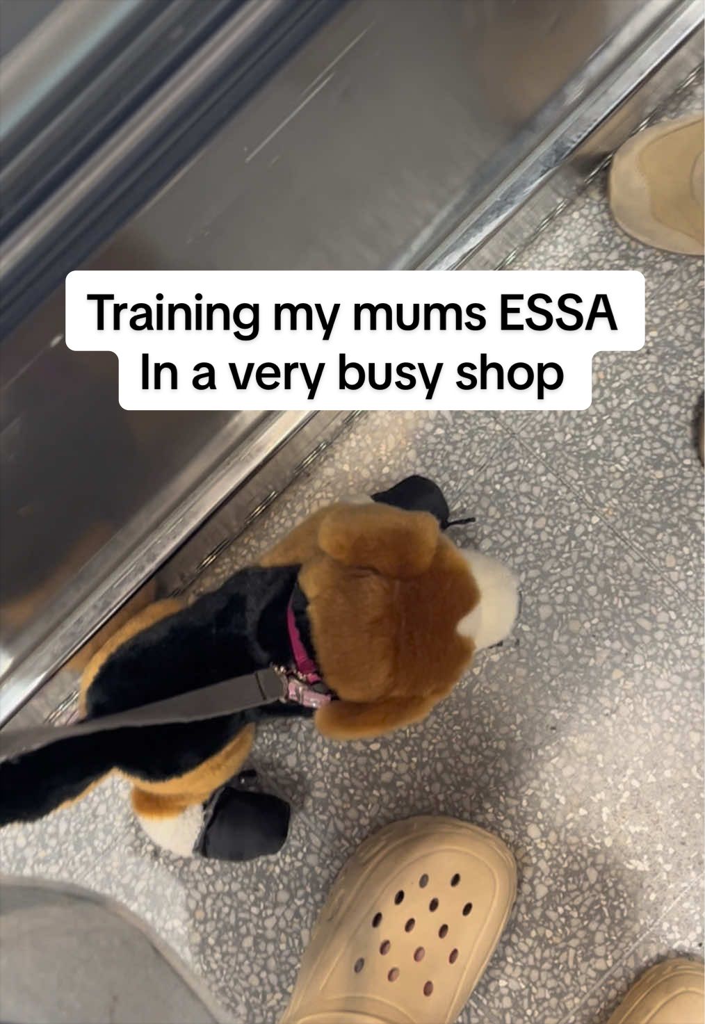 @The Essa Diaries
